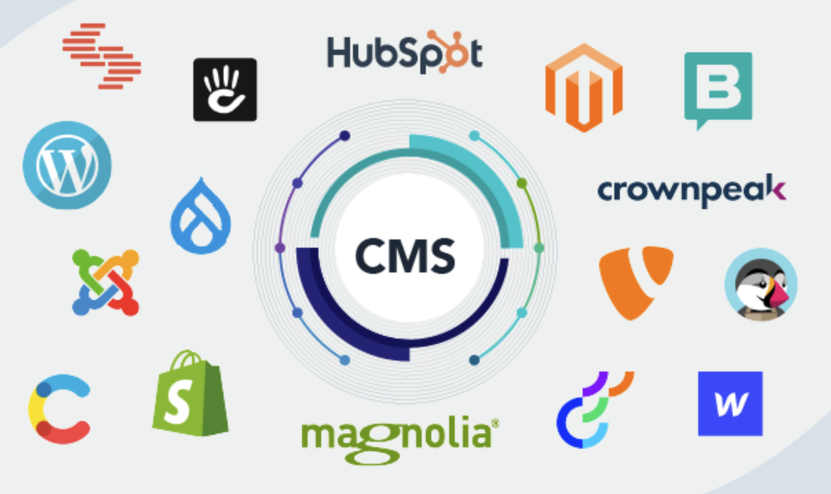 Adult Content Management Systems